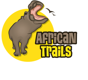 Best African Safaries
