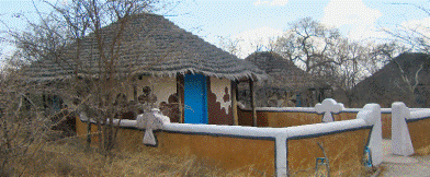 Planet Baobab Makgadikgadi