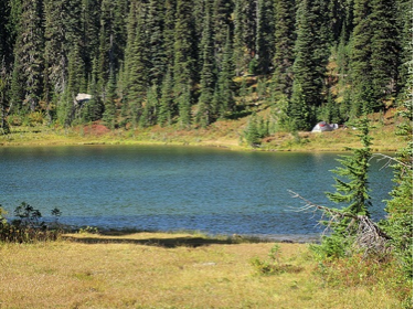 blue lake beside a field and a forest