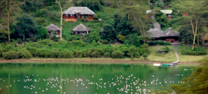 A lake with shrubbery and simple accommodation behind