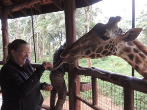 Girl hand feeding a giraffe in Nairobi, Kenya